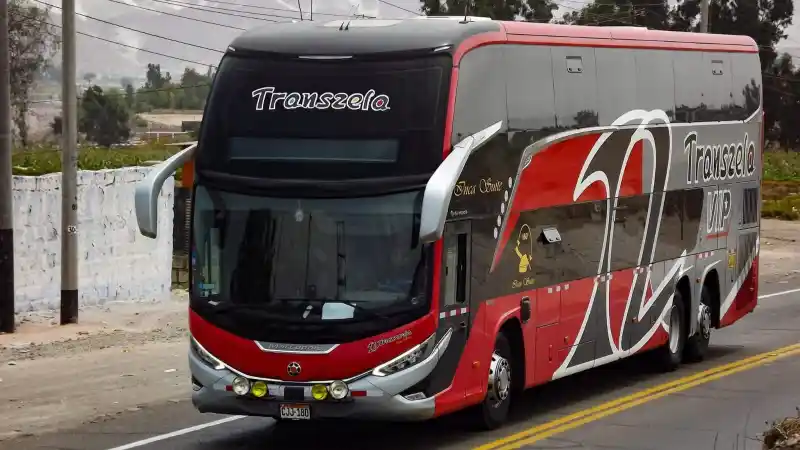 Confort en nuestros buses